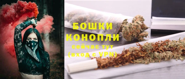 круглые Осинники
