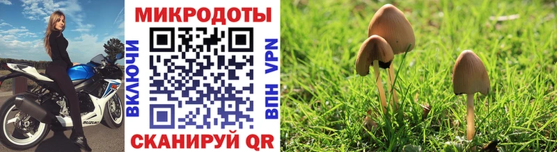 Галлюциногенные грибы MAGIC MUSHROOMS Серафимович